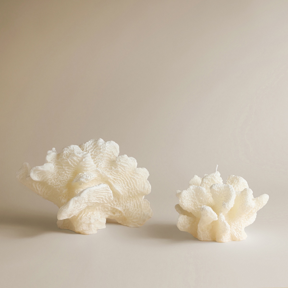 Vela Coral Branco-4
