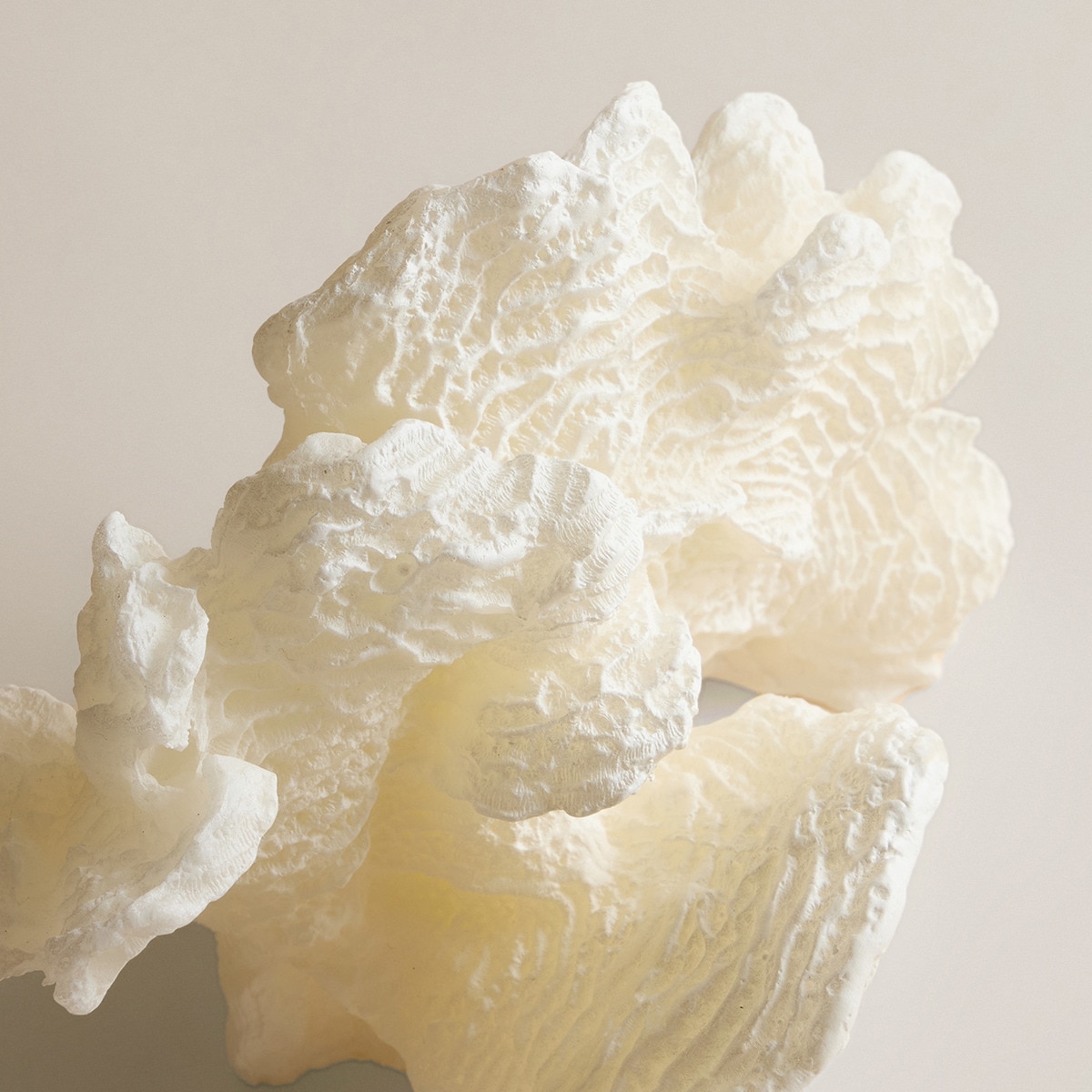Vela Coral Branco-3