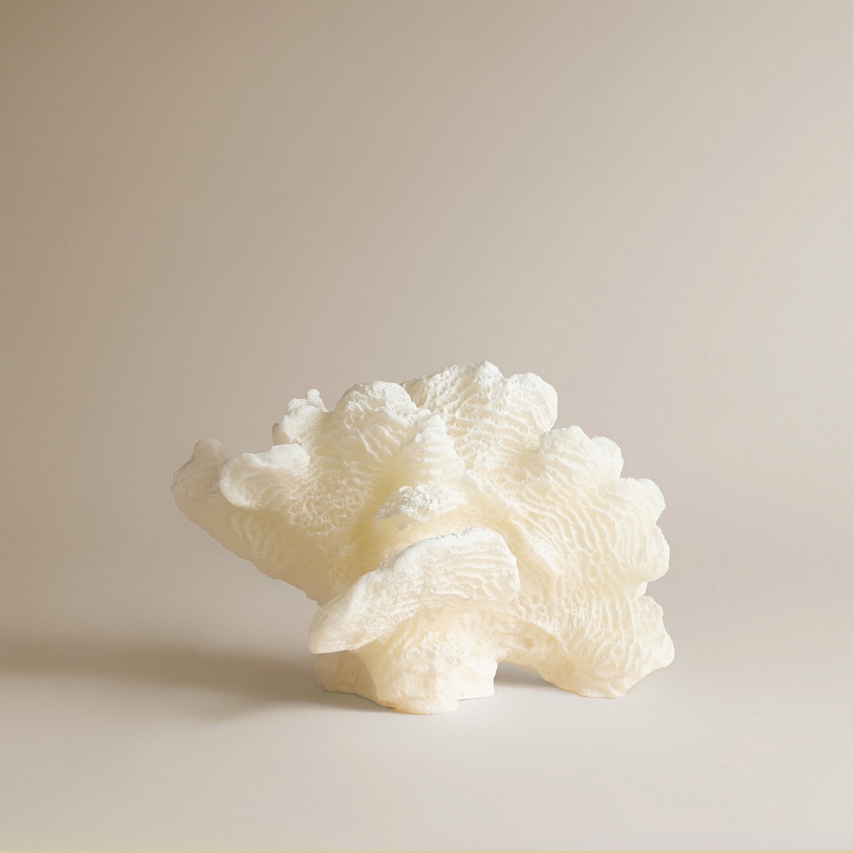 Vela Coral Branco-2