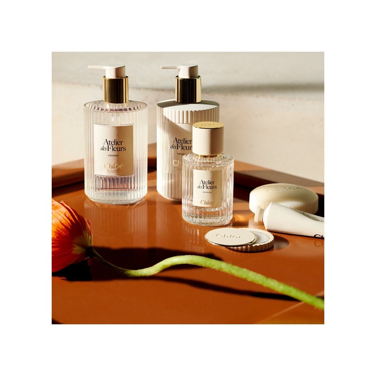 Gel de Banho Atelier des Fleurs Cedrus 3