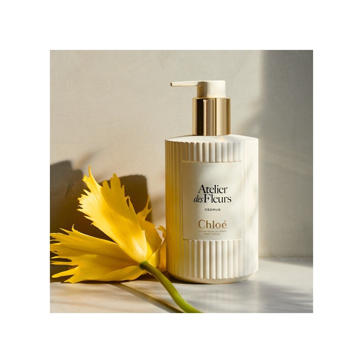 Creme de Corpo Atelier des Fleurs Cedrus Perfumed 3