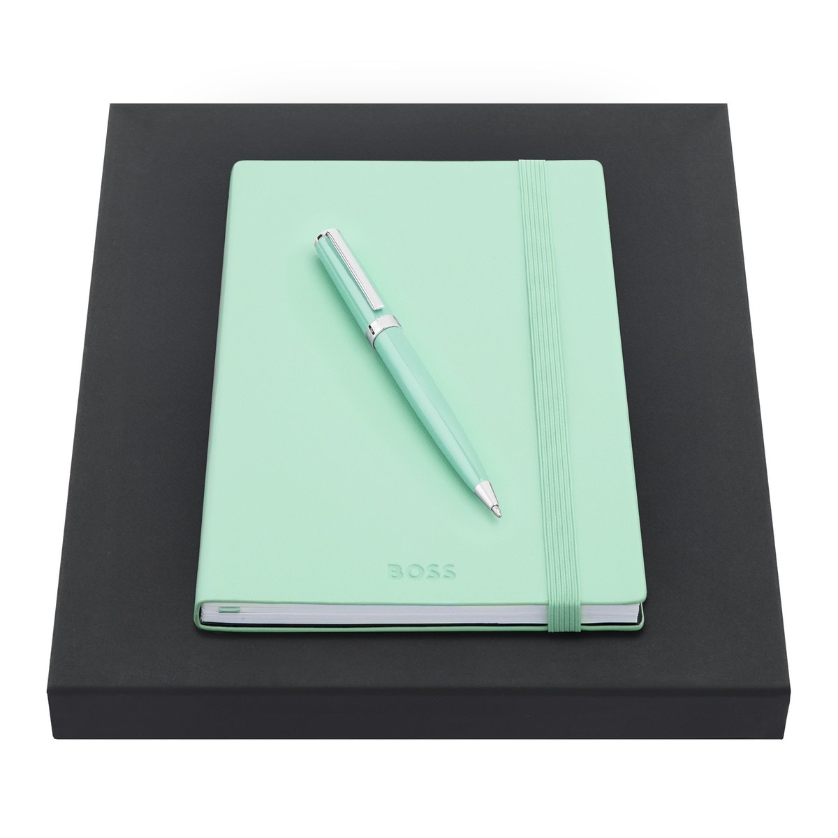 Set caderno e Esferográfica Hugo Boss pastel verde 2