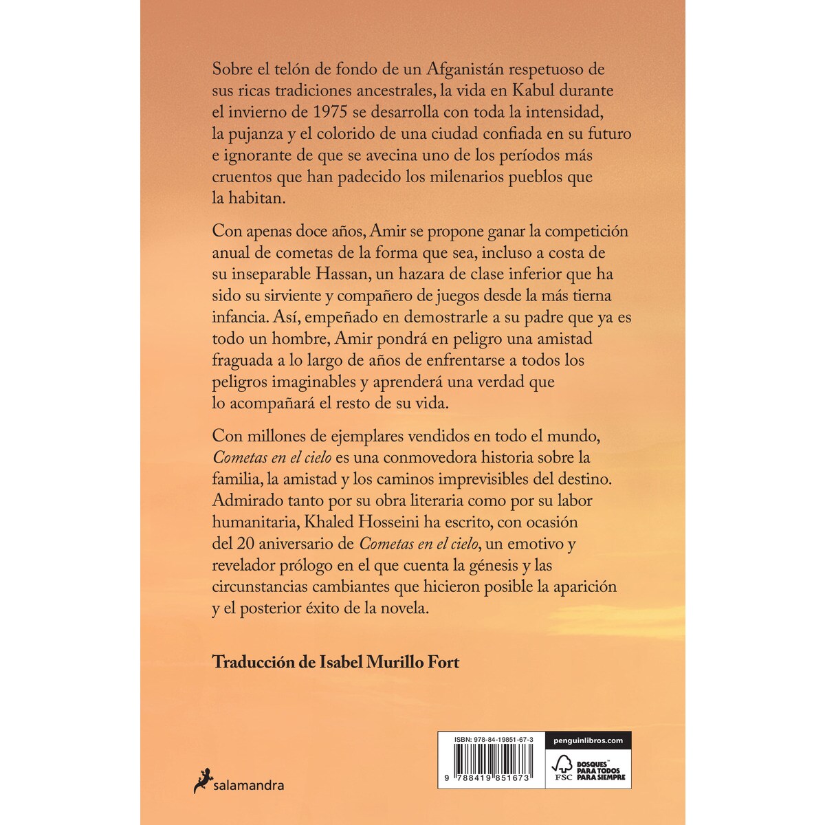 Cometas en el cielo (Capa mole) 2