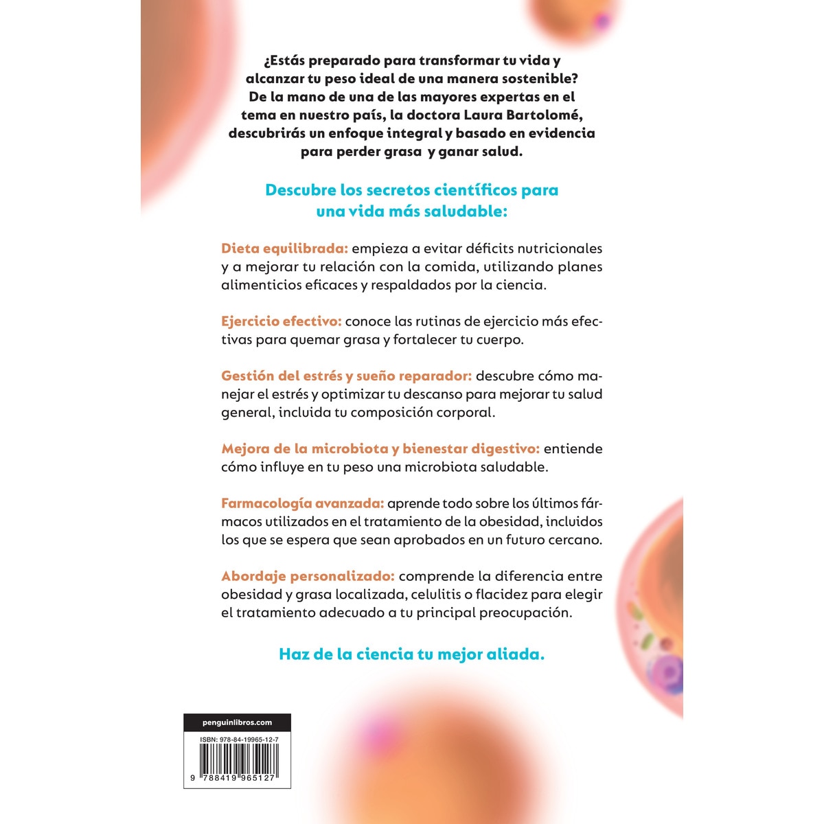 Dieta Para Bajar Grasa Corporal De Peso Comidas Para Bajar La