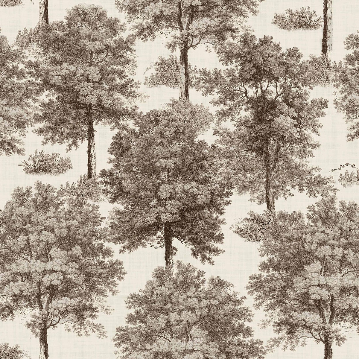 Papel de Parede TNT Chesnut Tree da Coleção Victorian Argila-1