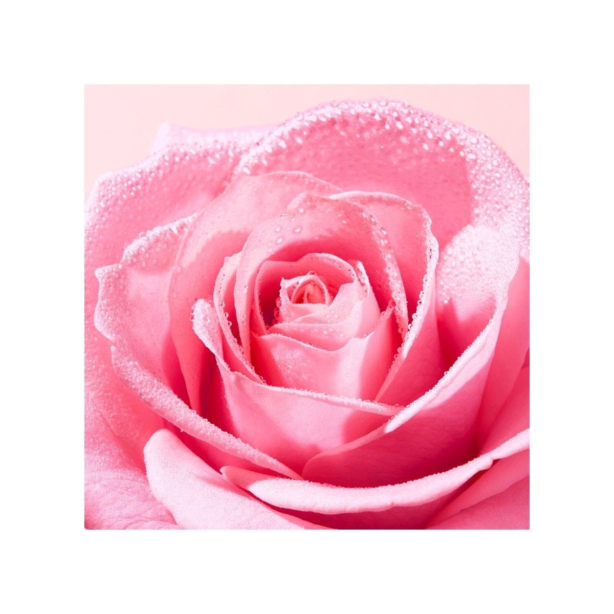 Água Micelar Suavizante Very Rose 3