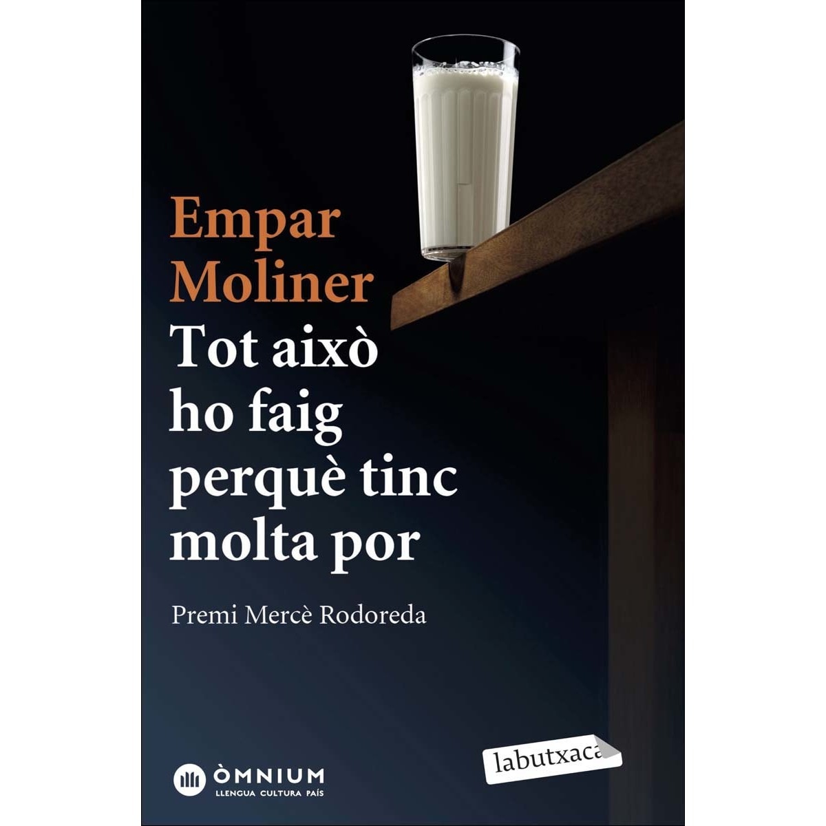 Imagen 0 de Tot això ho faig perquè tinc molta por: Premi Mercè Rodoreda 2015 (Bolsillo) (Tapa blanda)