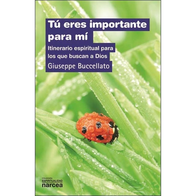 Imagem 0 de Tú eres importante para mí: Itinerario espiritual para los que buscan a Dios (Capa mole)