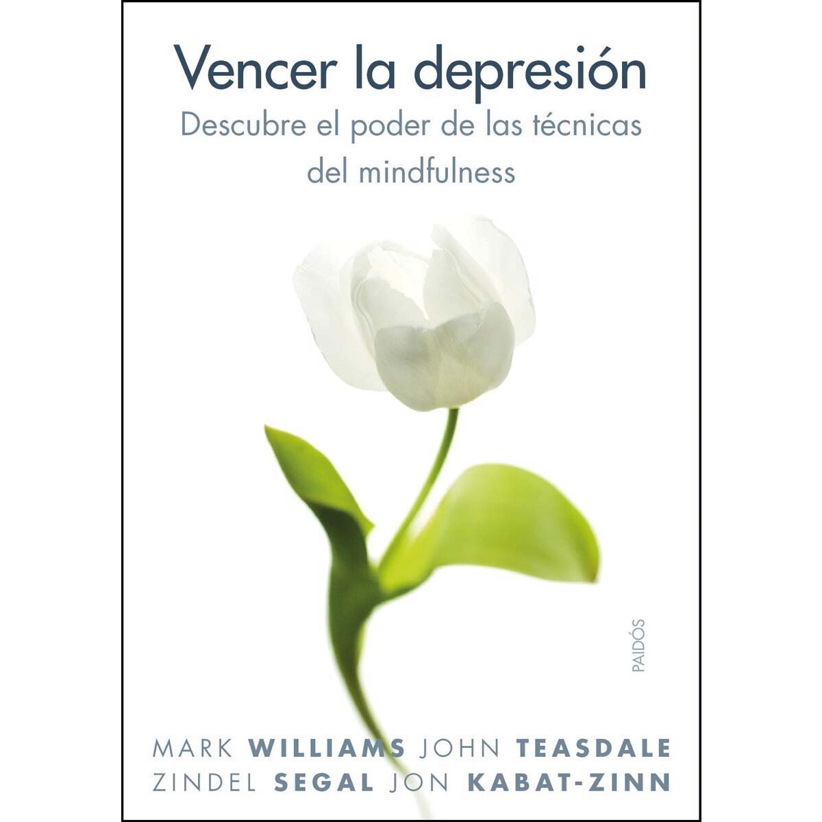 Imagem 0 de Vencer la depresión: Descubre el poder de las técnicas del mindfulness (Capa mole com abas)