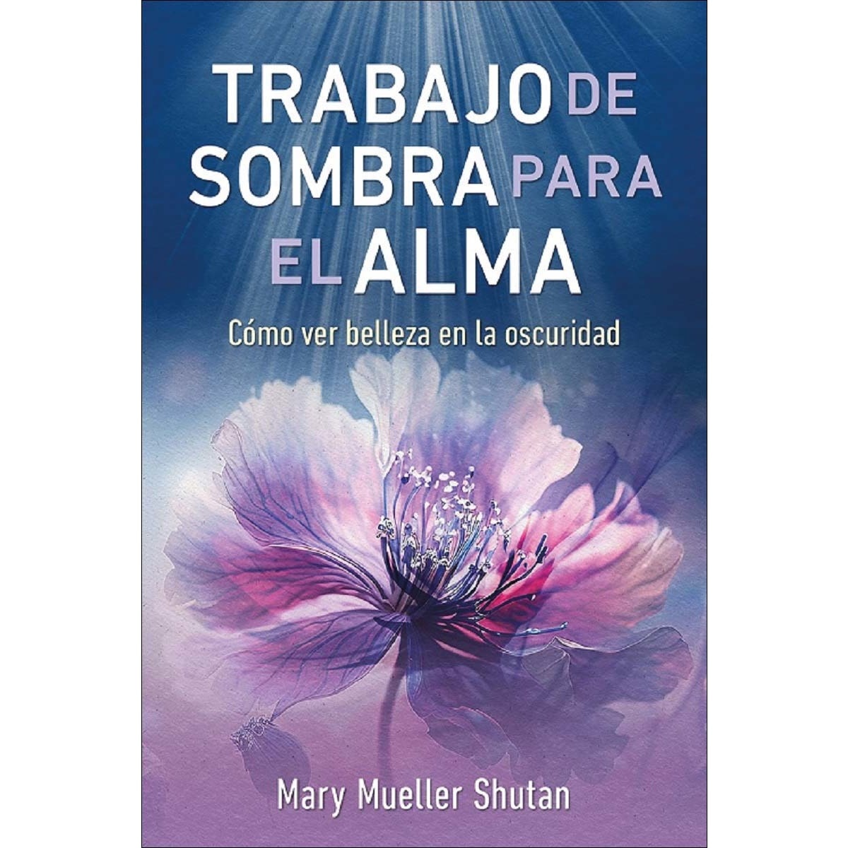 Trabajo de sombra para el alma 1