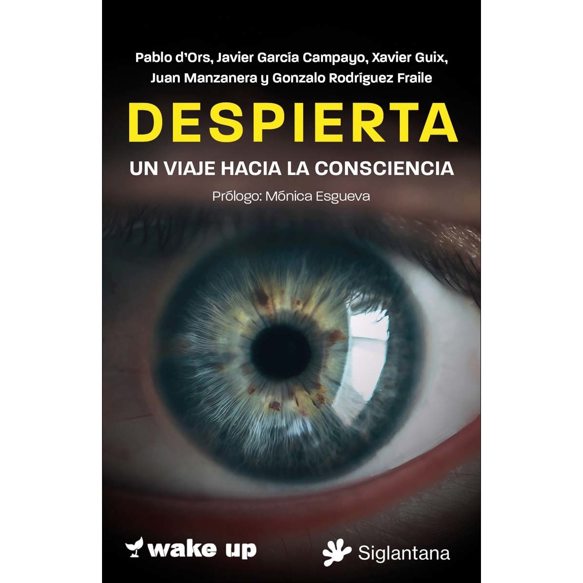 Imagem 0 de Despierta: Un viaje hacia la consciencia (Capa mole com abas)