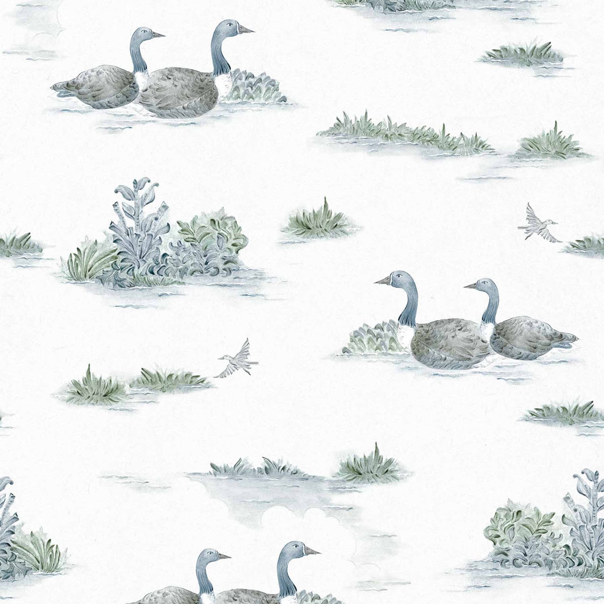 Papel de Parede Mallard Duck da Coleção Cotswolds Água-1