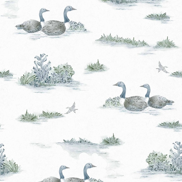 Imagem 0 de Papel de Parede Mallard Duck da Coleção Cotswolds