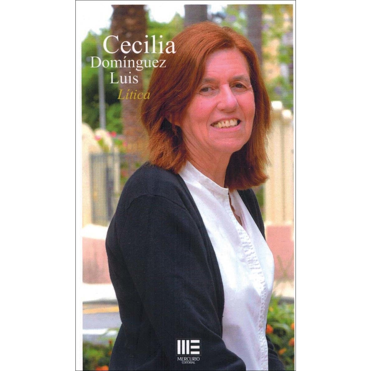 Lítica 1