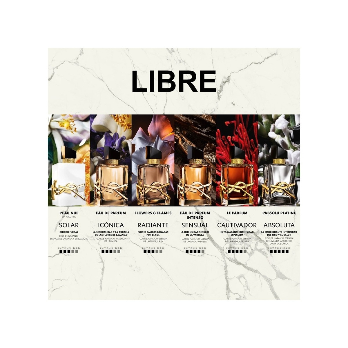 Libre L'Eau Nue Eau de Parfum 8