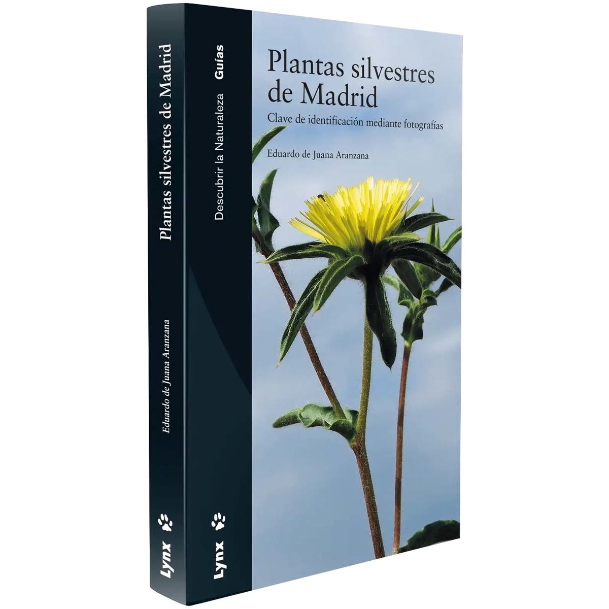 Plantas silvestres de Madrid: Clave de identificación mediante fotografías (Capa mole) 1