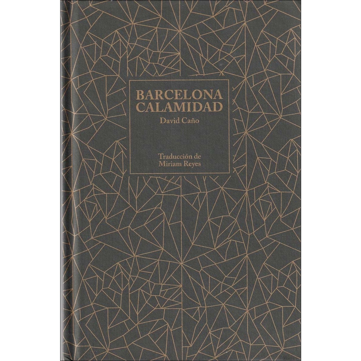 Imagem 0 de Barcelona calamidad