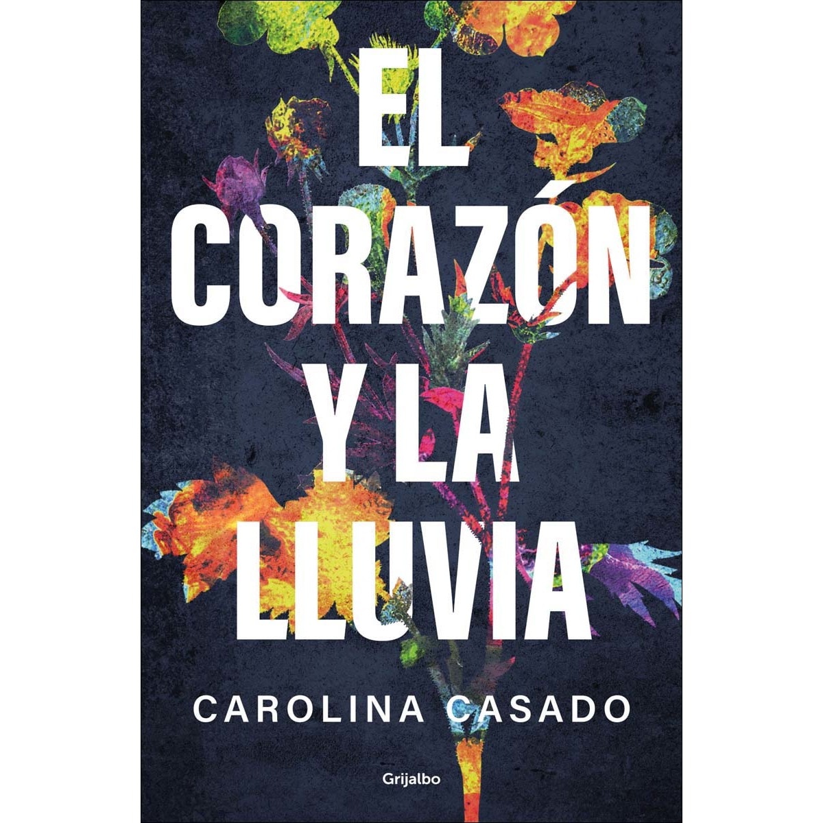 El corazón y la lluvia (Capa mole) 1