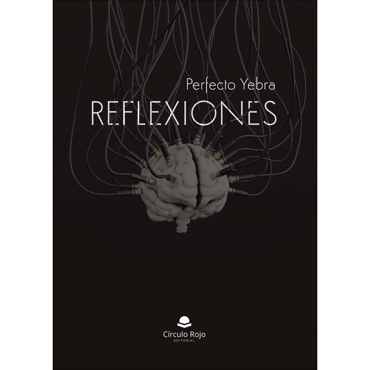 Reflexiones 1