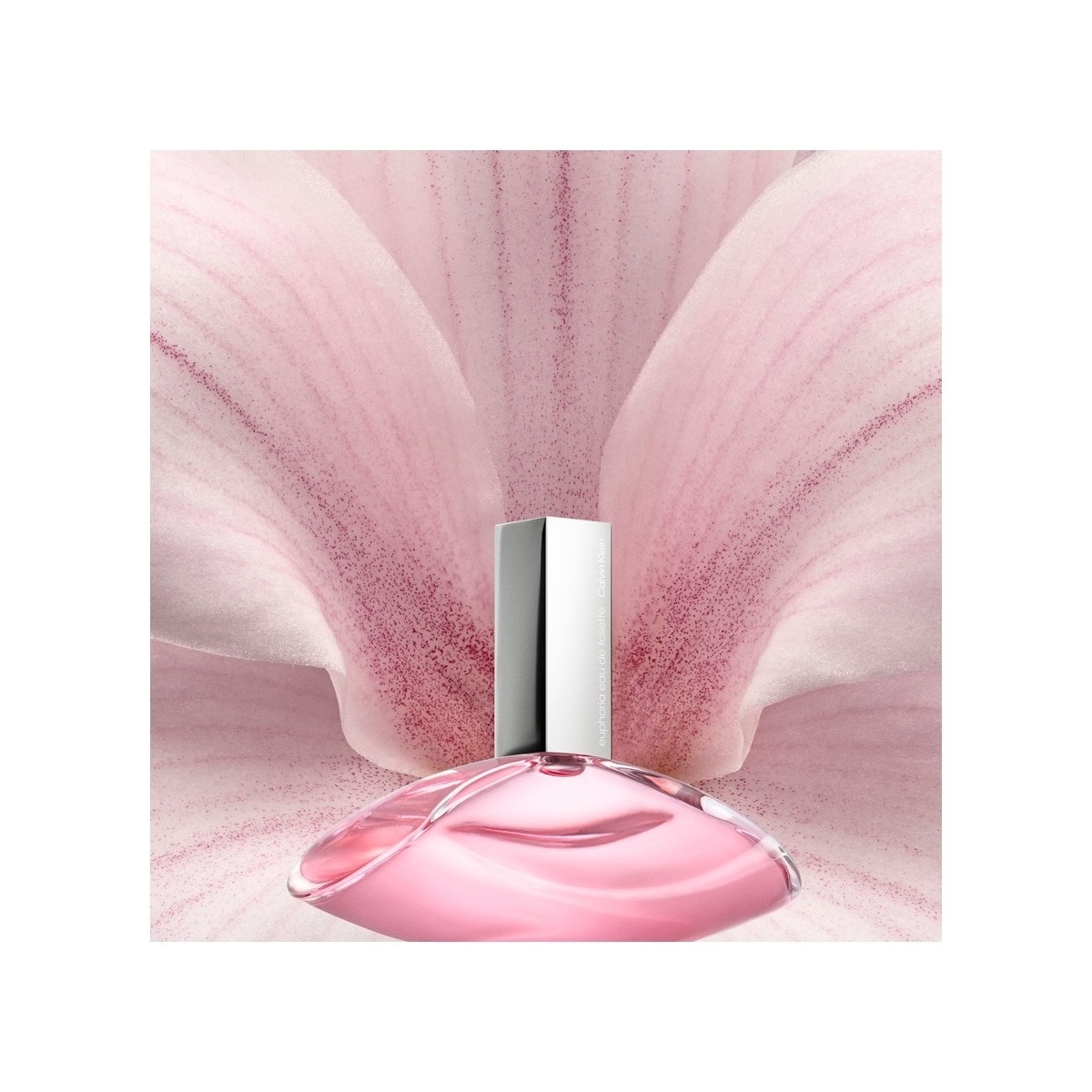 Euphoria Eau de Toilette 4