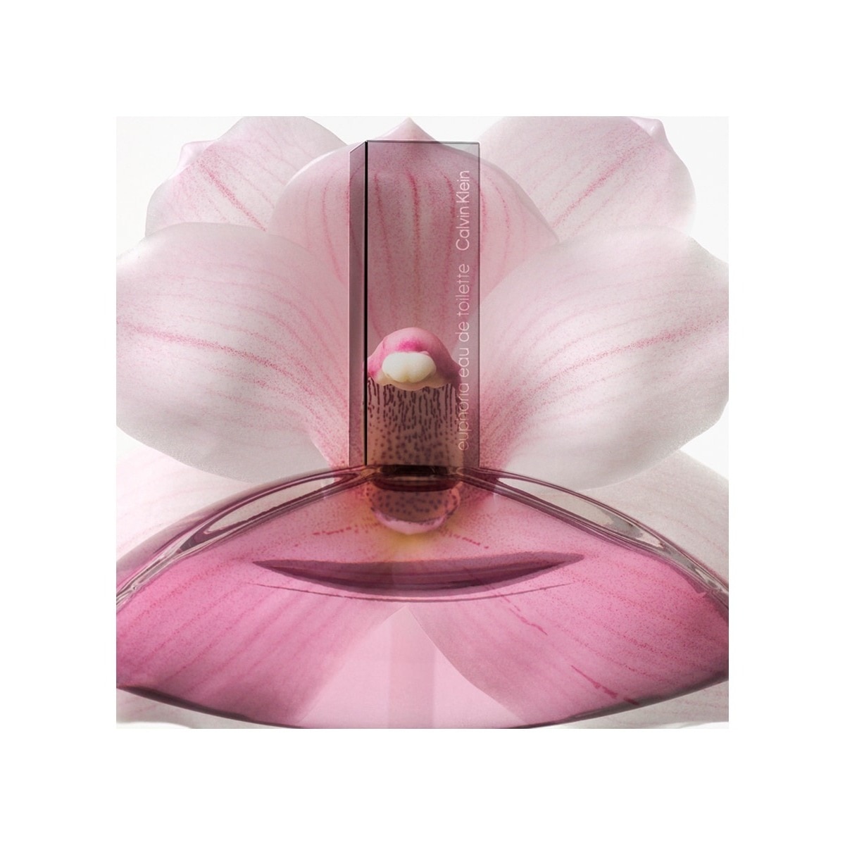 Euphoria Eau de Toilette 5