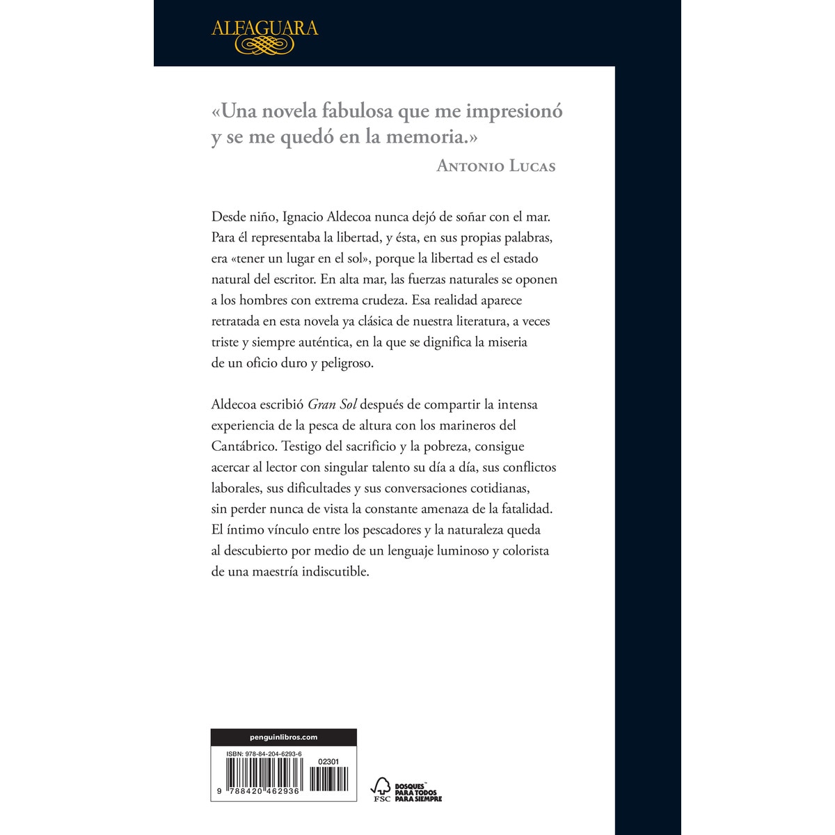 Gran Sol (Capa mole) 2