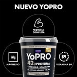 Proteine Stracciatella-Geschmack + Magnesium + Vitamin B9 0% Zucker 0% Fett Behälter 450 g hilft, Muskelmasse aufzubauen, und reduziert Erschöpfung