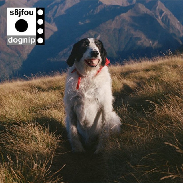 Imagen 0 de Dognip (LP-Vinilo)