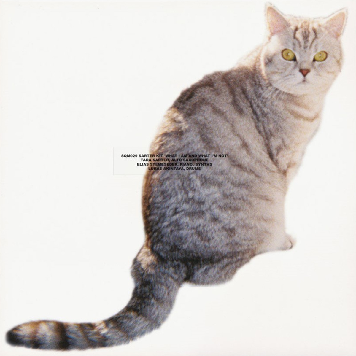 Imagen 0 de What I Am And What I'm Not (LP-Vinilo)