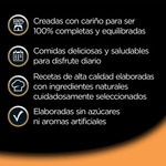 wet dog food with blueberries and vegetables tub 100 g