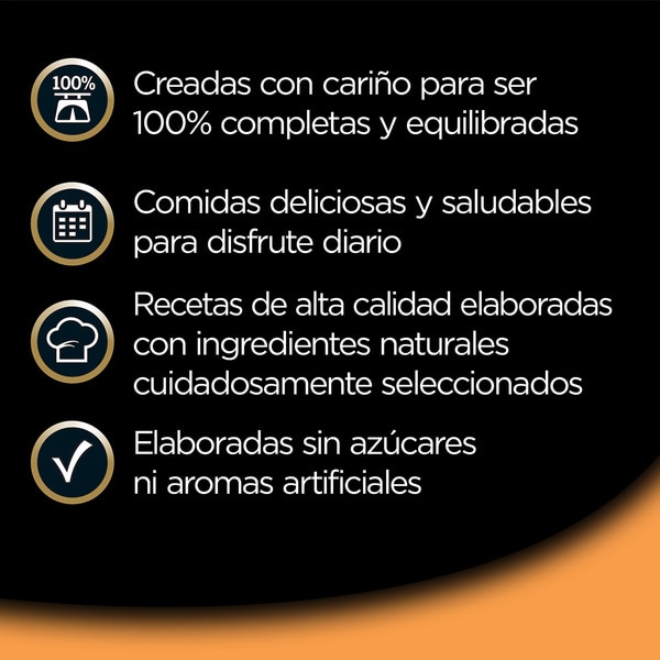 wet dog food with blueberries and vegetables tub 100 g