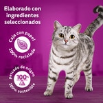 Comida húmeda para gatos adultos +1 año mar y montaña 4 sobres 85 g