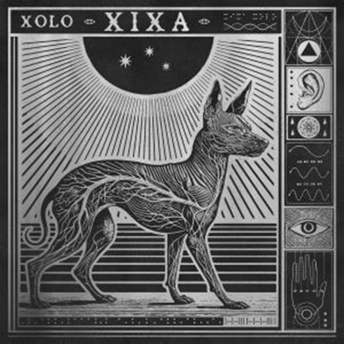 Imagen 0 de XOLO (LP-Vinilo)