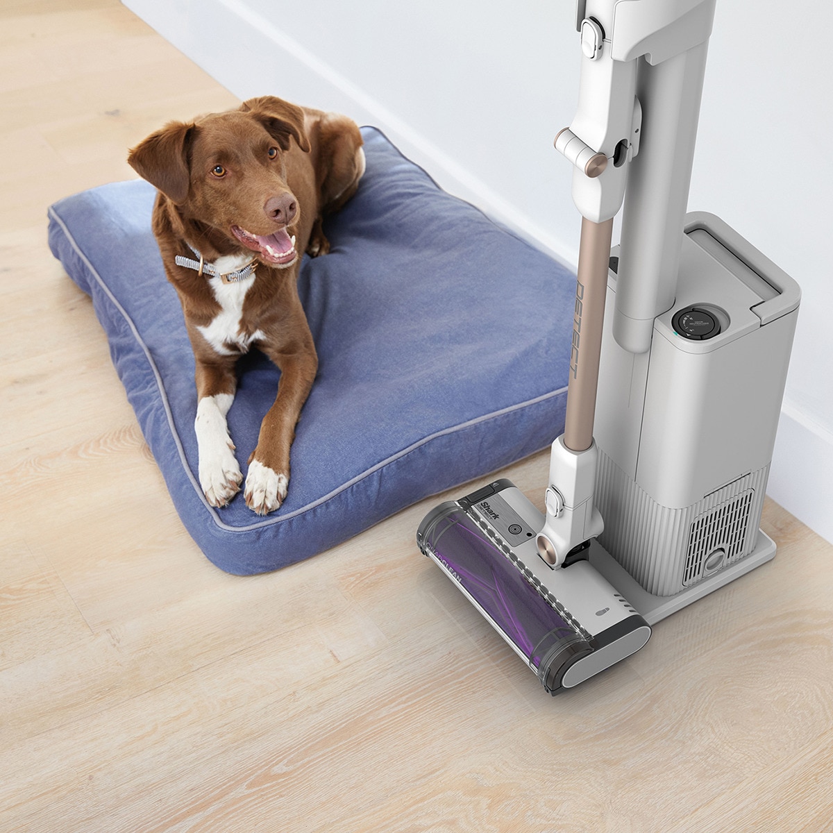 Aspirador de escoba Shark Detect  + sistema vaciado Blanco-6