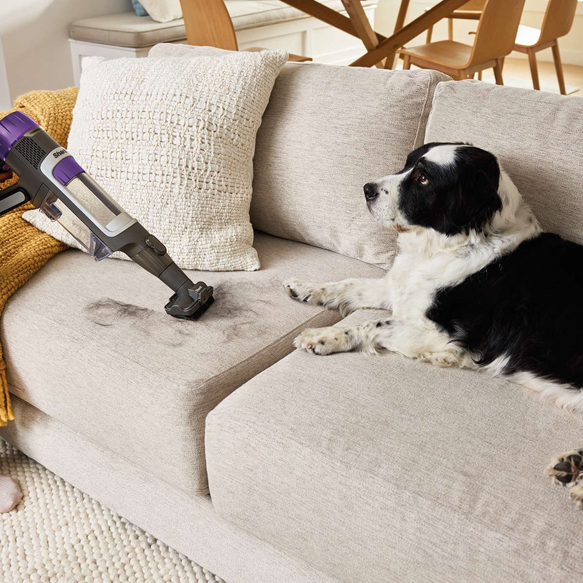 Aspirador de escoba recargable Shark Clean & empty y PowerDetect + Vaciado automático Gris-7