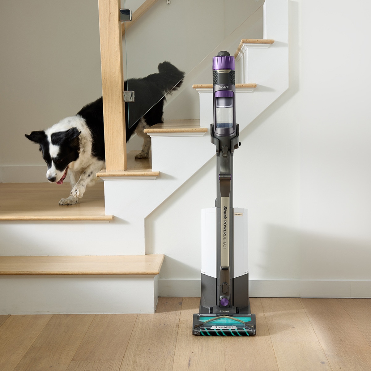Aspirador de escoba recargable Shark Clean & empty y PowerDetect + Vaciado automático Gris-5