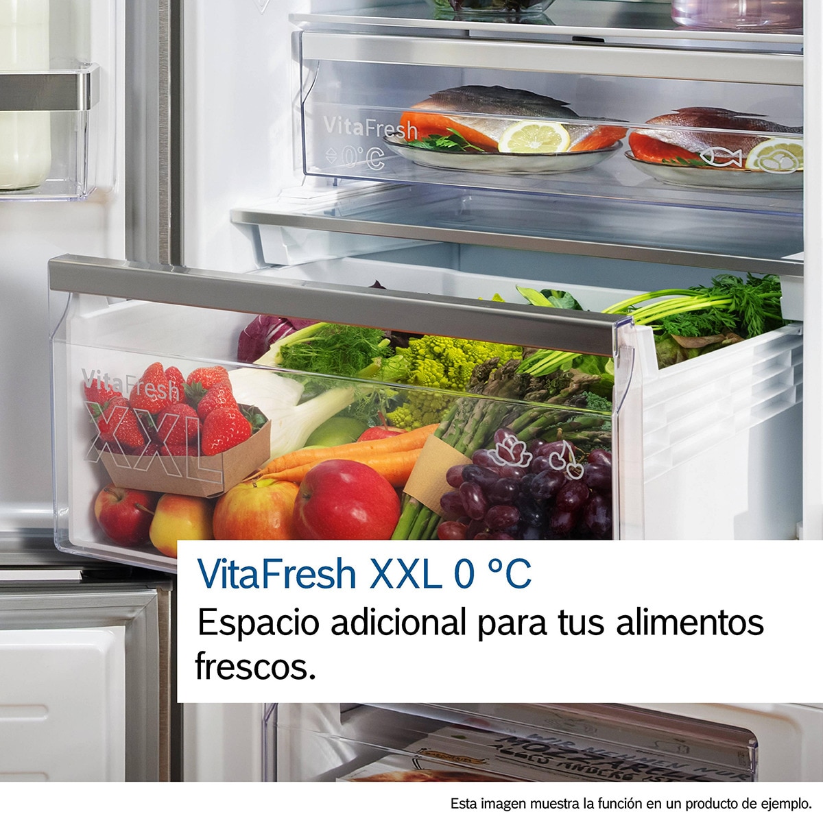 Frigorífico Combinado Bosch Serie 4 KGN392LAG Total No Frost, de 203 cm - Look Inox Aço Antimarcas-12
