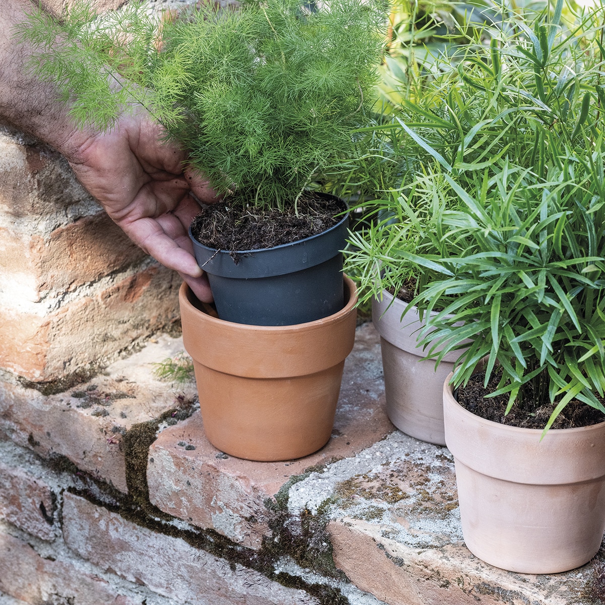 Macetero Perfetto 13 cm. Capacidad 0,9L. Deroma Terracota-7