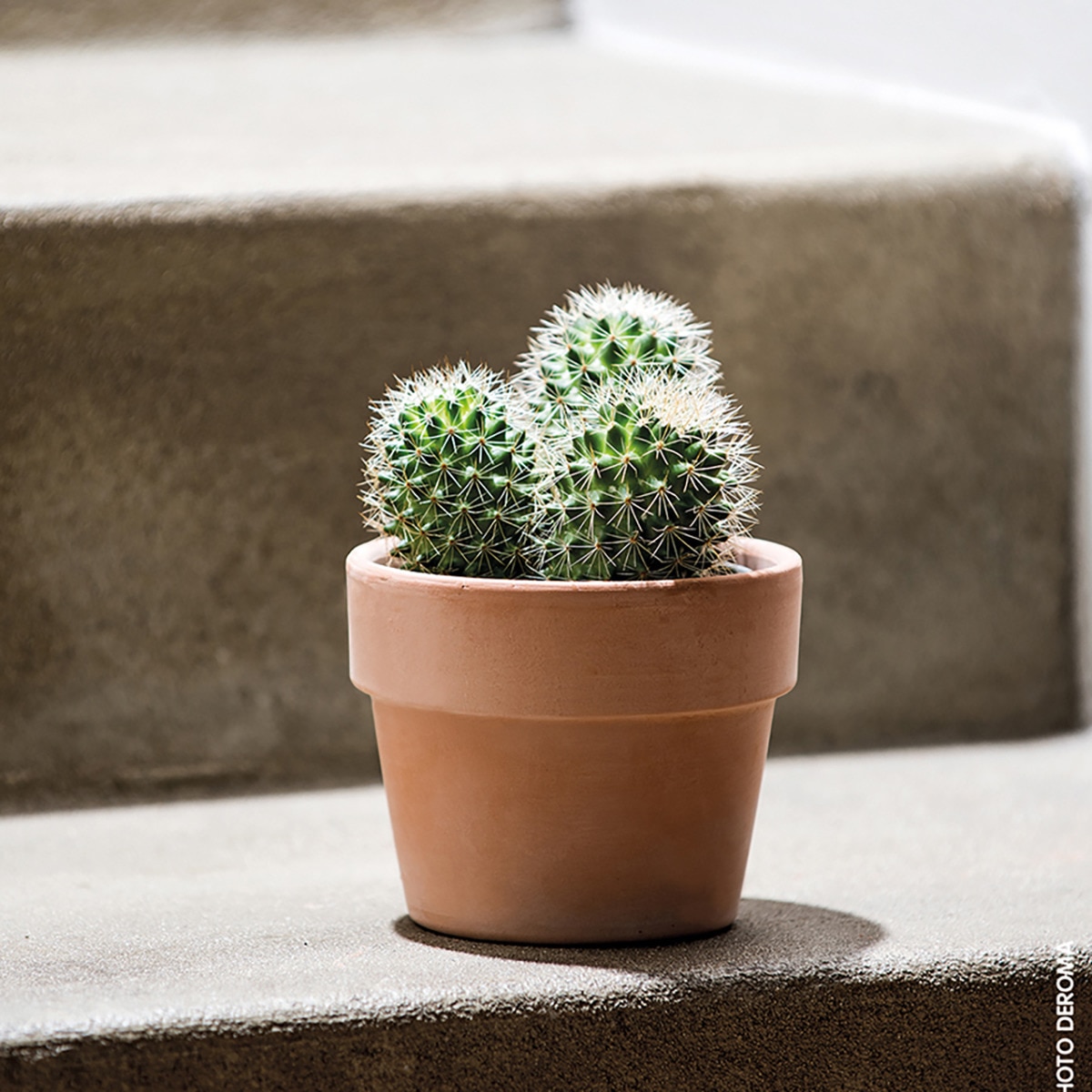 Macetero Perfetto 13 cm. Capacidad 0,9L. Deroma Terracota-6