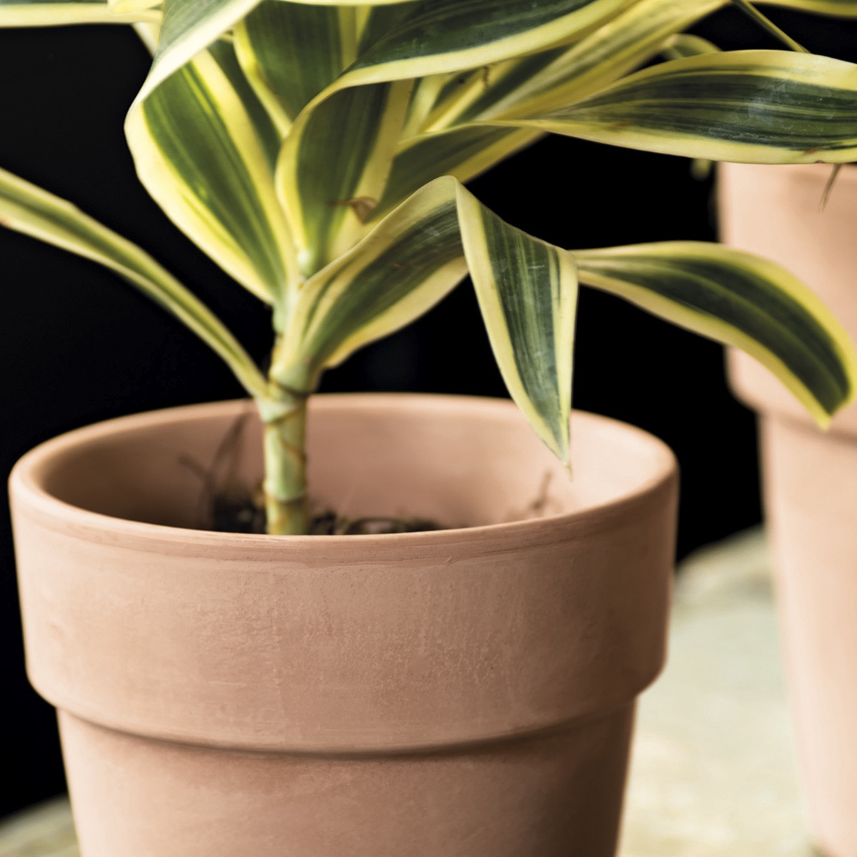 Macetero Perfetto 13 cm. Capacidad 0,9L. Deroma Terracota-4