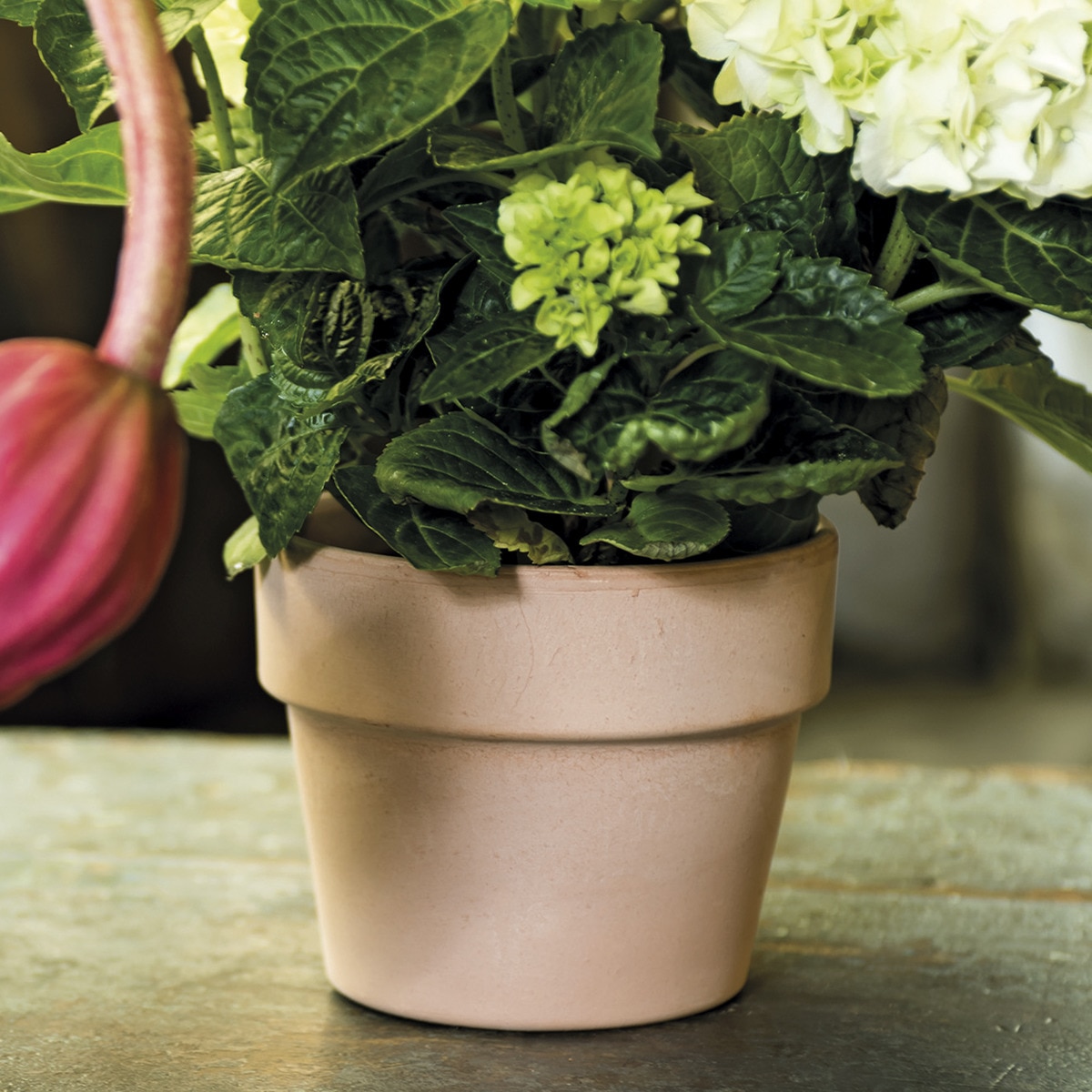 Macetero Perfetto 13 cm. Capacidad 0,9L. Deroma Terracota-3