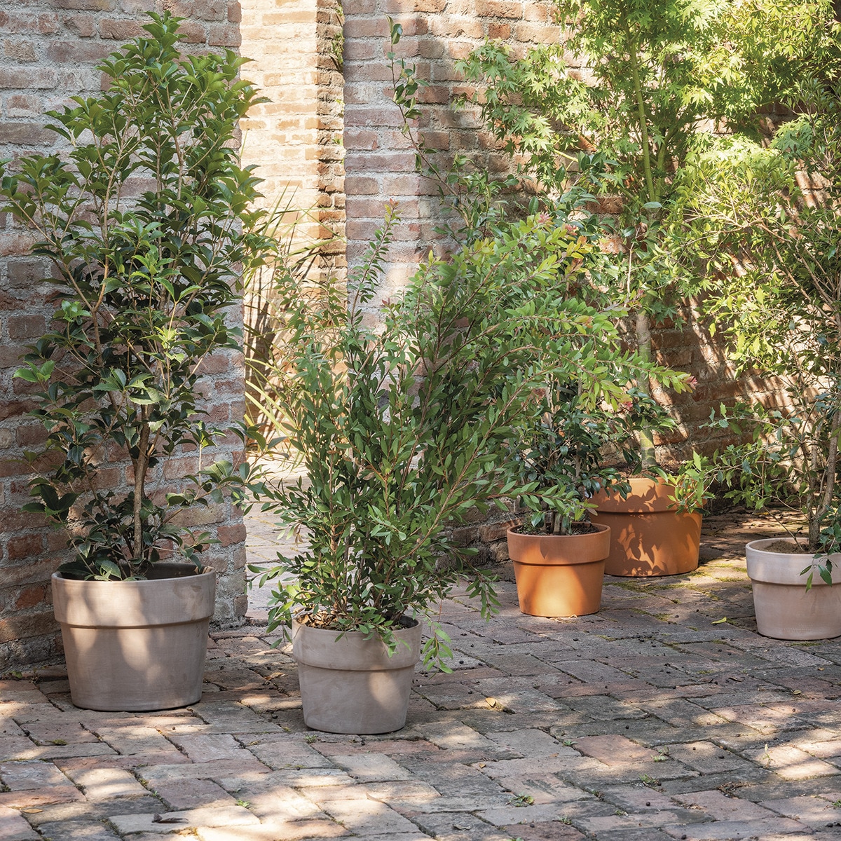 Macetero Perfetto 24 cm. Capacidad 6L. Deroma Terracota-3