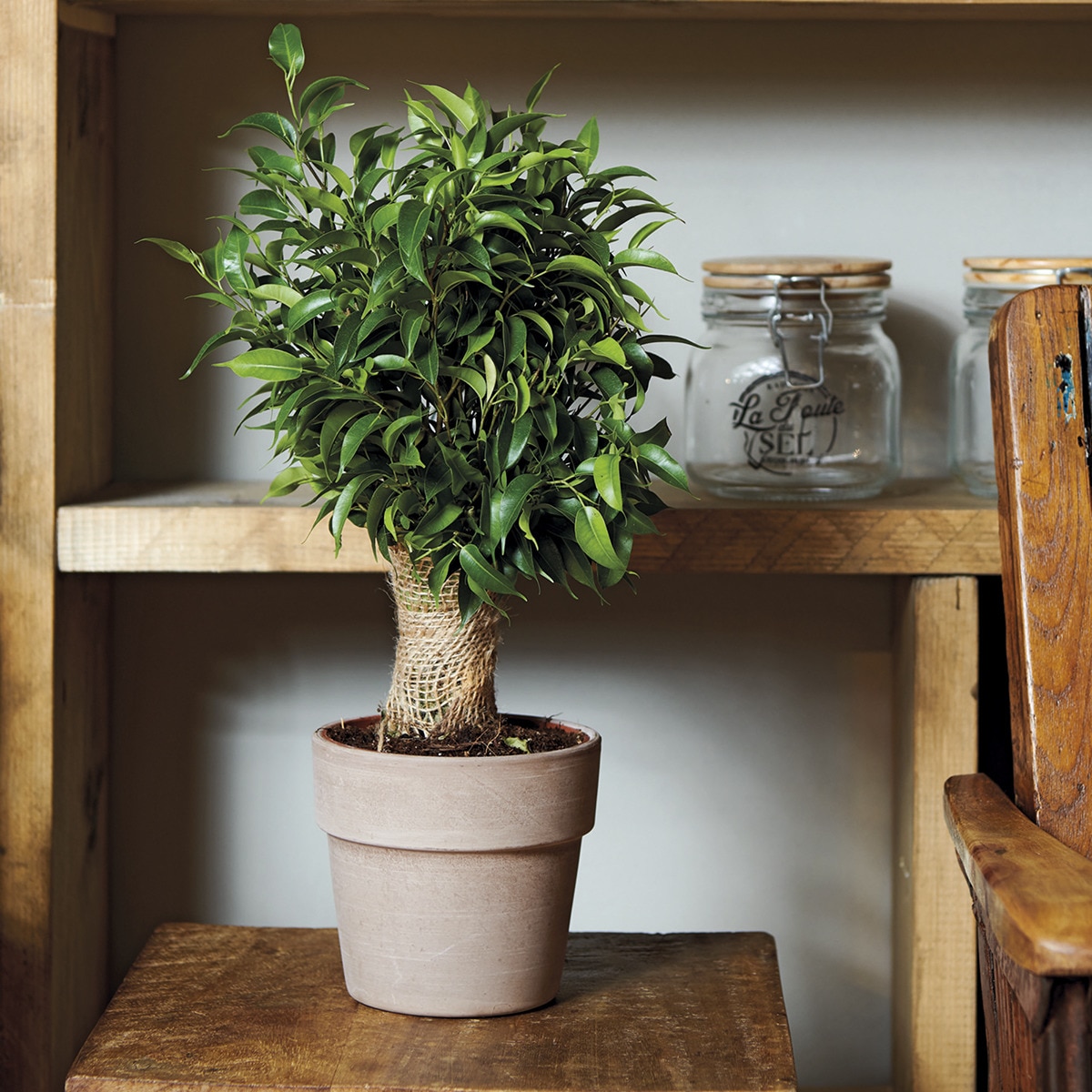 Macetero Perfetto 15 cm. Capacidad 1,4L. Deroma Terracota-2