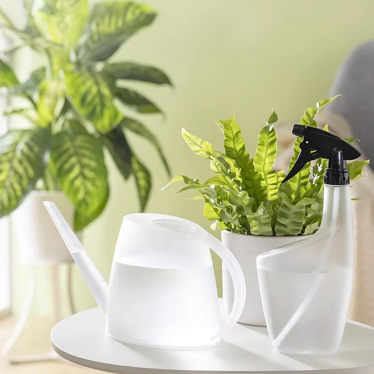 Regadera Lilly 16 cm. Capacidad 1,5L. Scheurich Transparente-2