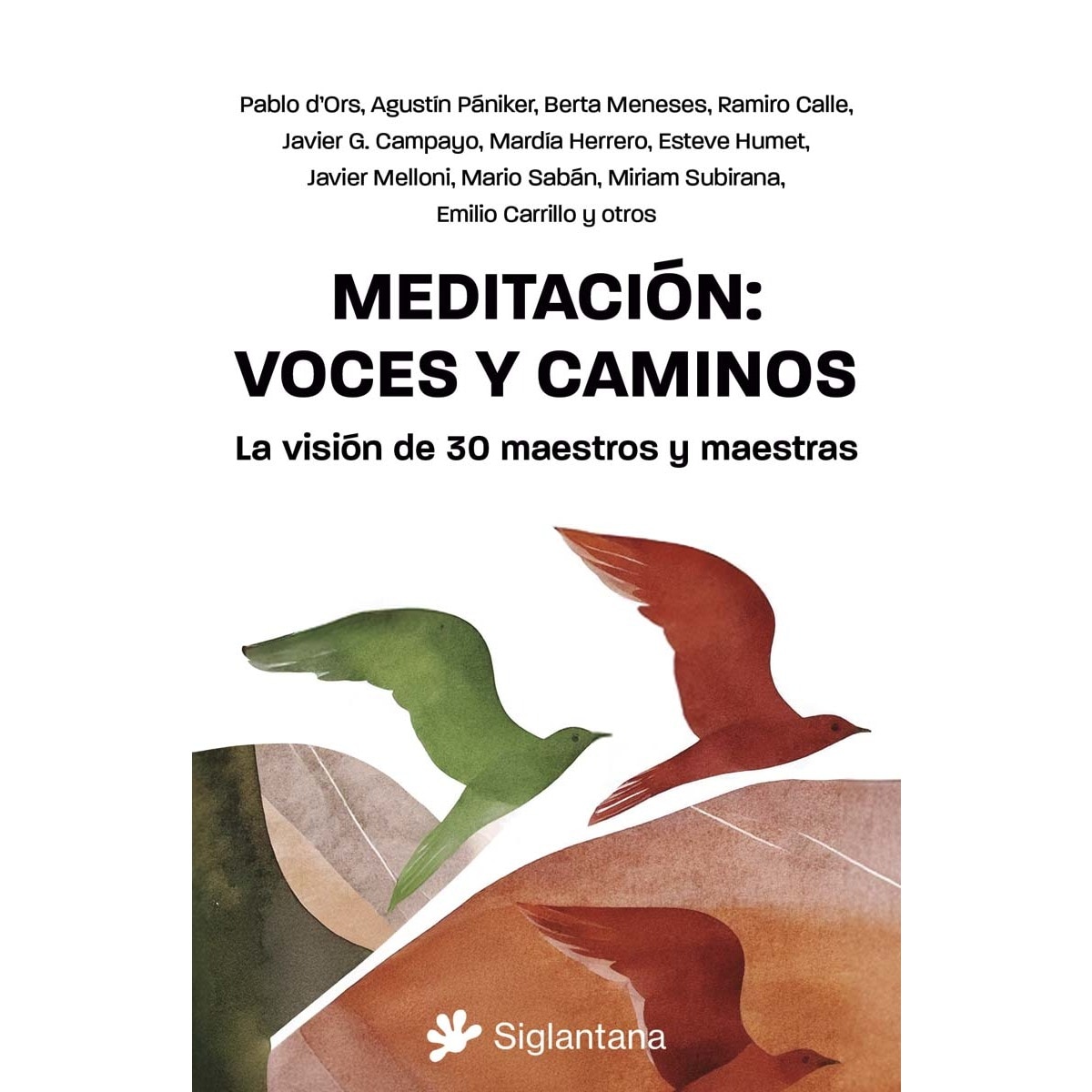 Imagem 0 de Meditación: voces y caminos: La visión de 30 maestros y maestras (Capa mole com abas)