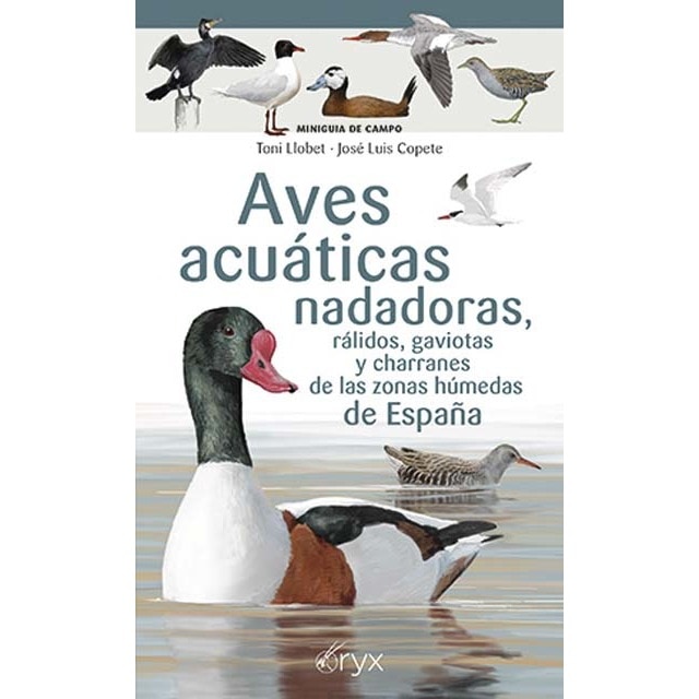 Imagem 0 de Aves acuáticas nadadoras, rálidos, gaviotas y charranes de las zonas húmedas de España (Capa mole)