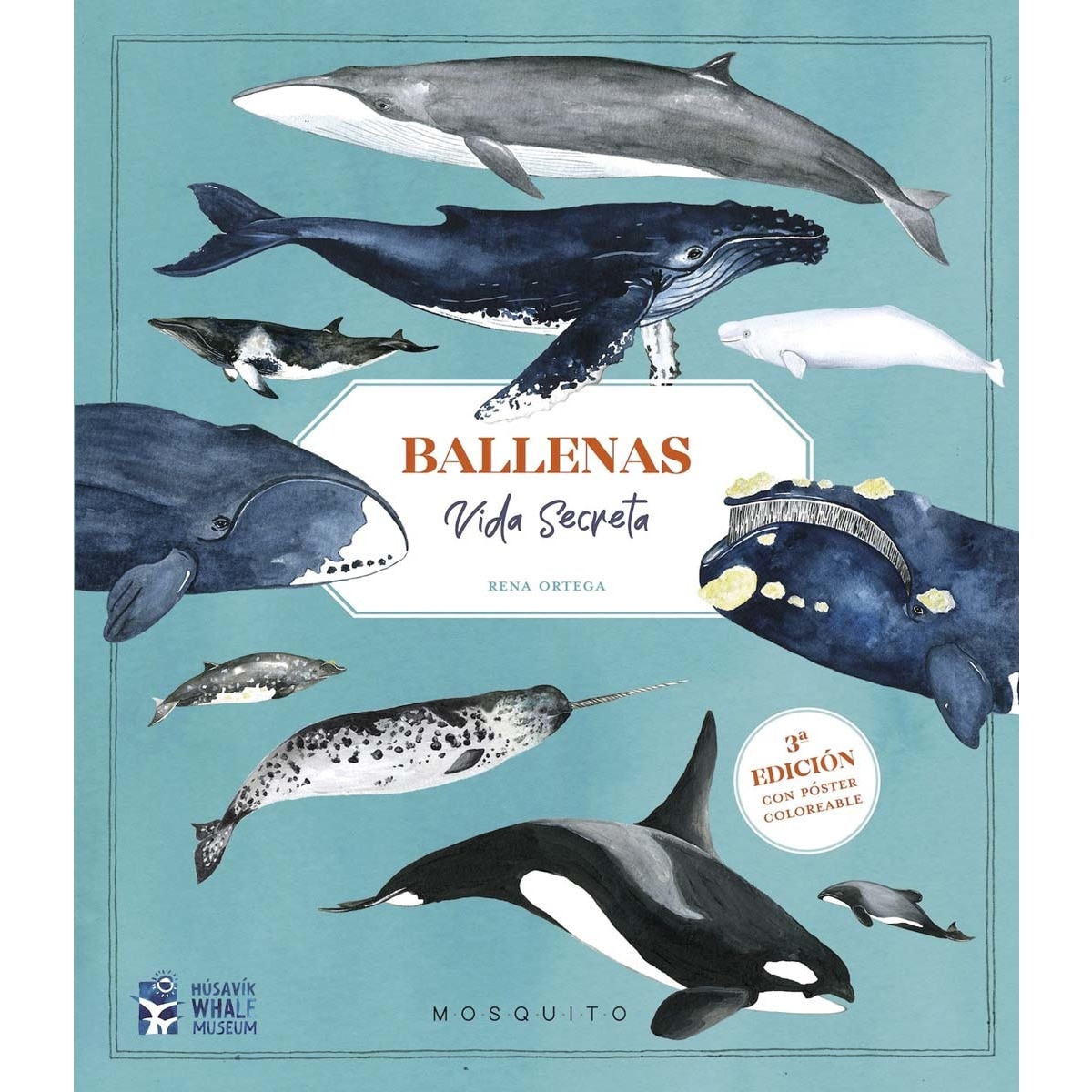 Imagem 0 de Ballenas. Vida secreta (3ª edición con póster coloreable)