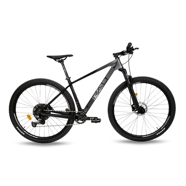 Imagen 0 de Bicicleta de montaña C6 29" Carbono Rali