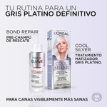 platinum grey toner treatment Silver for dark hair with grey