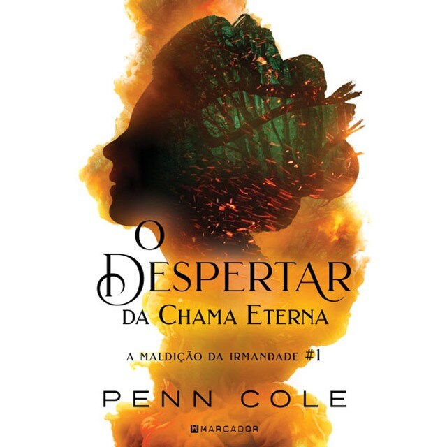 Imagem 0 de O Despertar da Chama Eterna - A Maldição da Irmandade #1